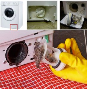 Посторонний предмет в стиральной машине: как извлечь?