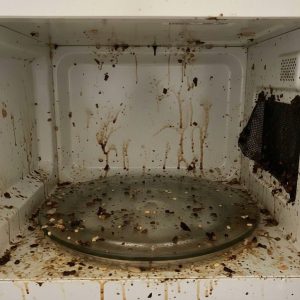 Самые частые неисправности СВЧ-печей и причины их возникновения